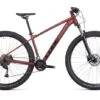Bicicleta Cube Access WS Pro 2022