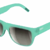 Gafas Poc Want