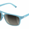 Gafas Poc Will
