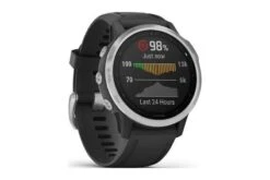 Garmin Fenix 6S -Topeak Ventas garmin fenix 6s 2