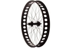Rueda Trasera Quanta Fat Bike